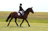 Dressage (limited)