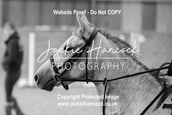 104246-UCP-JH