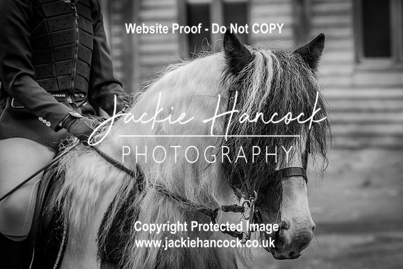 105533-UCP-JH