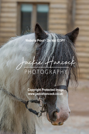 105533-UCP-JH-2