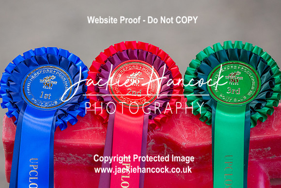 133512-UCP-JH