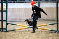 Class 3 - Horse and Hound