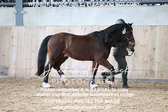 JHP_0771