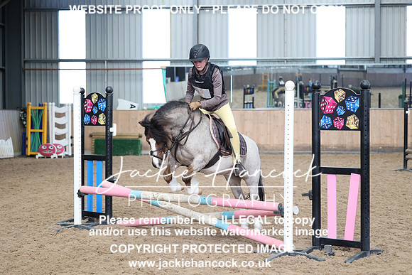 JHP_8133