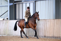Show Hunter Championships