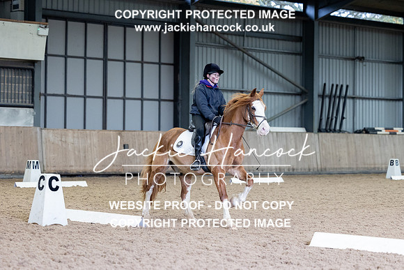 JHP_3029