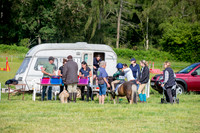 Showground