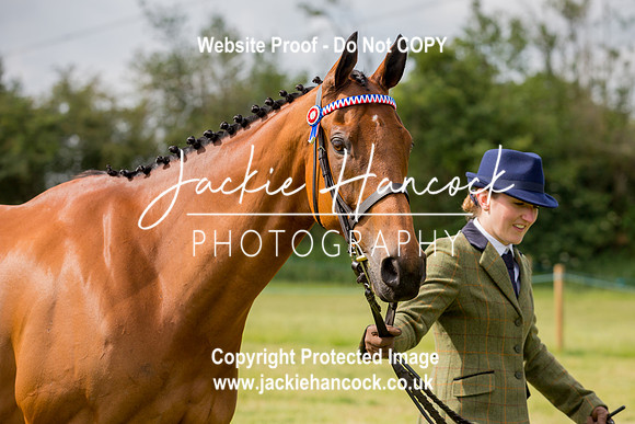 102019-JHP-2