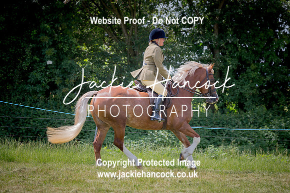 112941-JHP