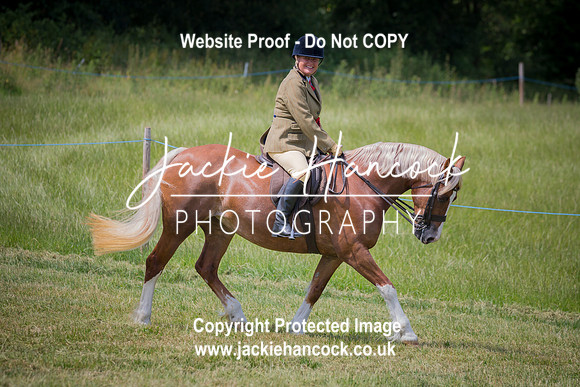 115223-JHP