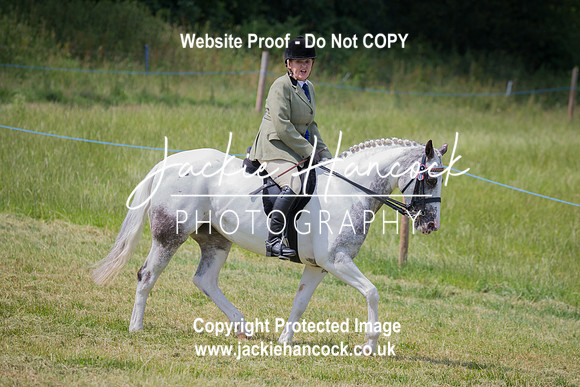 115228-JHP