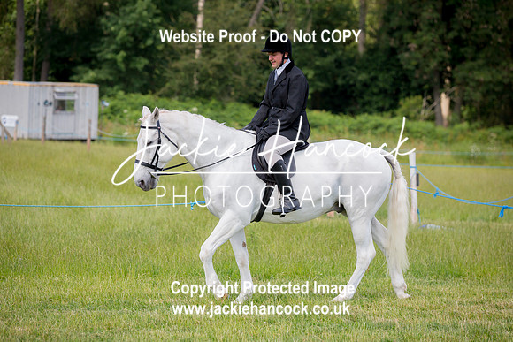 120032-JHP