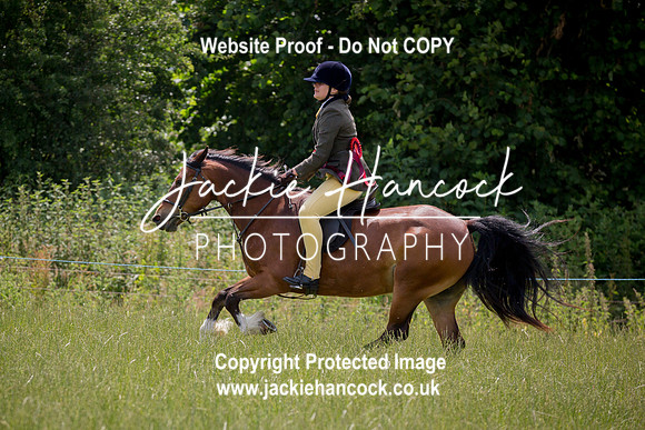 132401-JHP