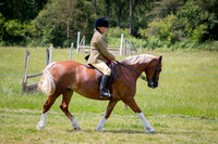 Ring 2 (ridden)