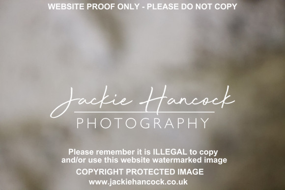 R5JH0883