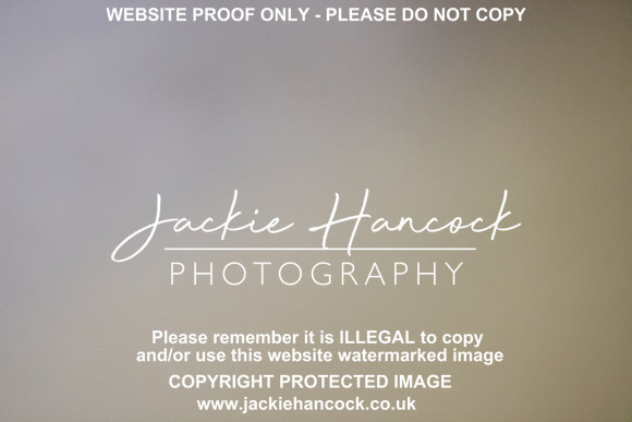 R5JH4891