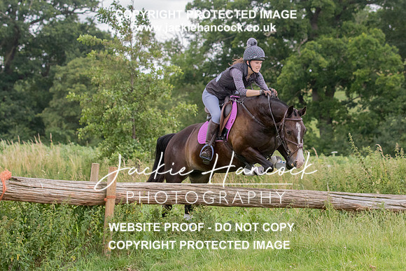 104313-JHP-2