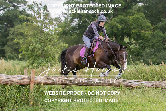 104313-JHP-3