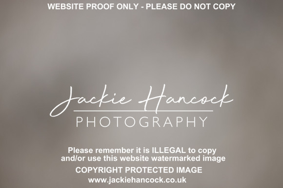 R5JH1775