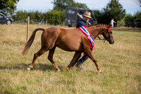 Supreme Championship
