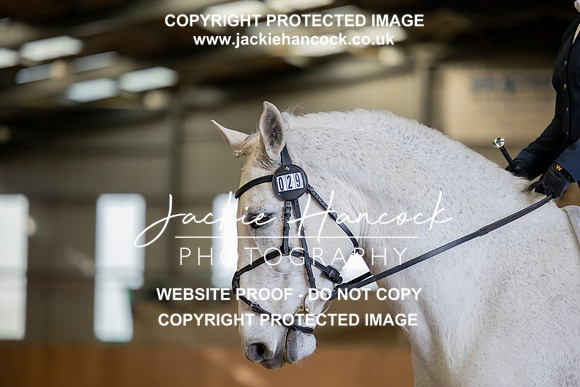 135027-131121-JHP