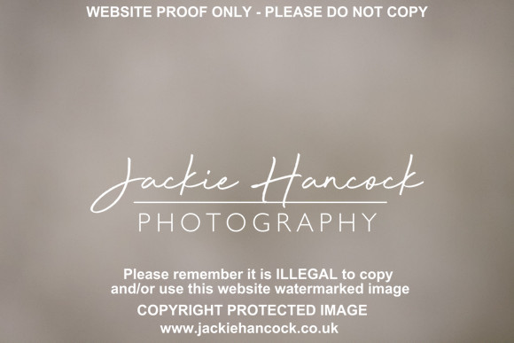 R5JH3859