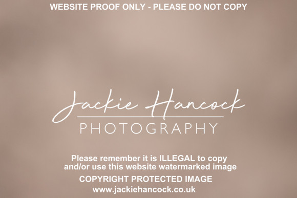 R5JH4423