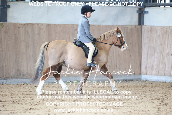 JHP_0341