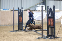 Class 3 - Dog Fun Class 65cm