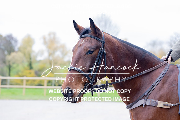 JHP_0114
