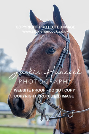 JHP_0119
