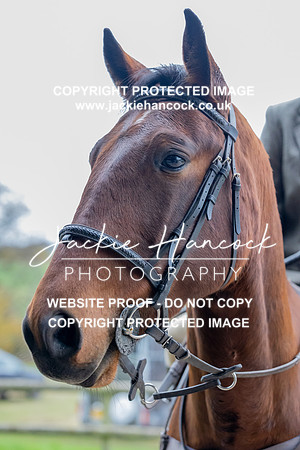 JHP_0118