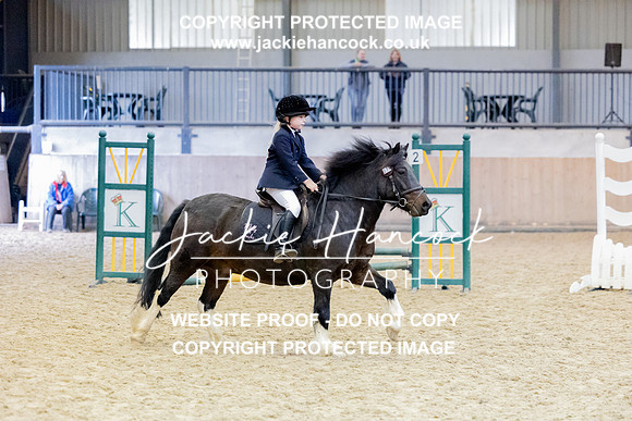 JHP_0393