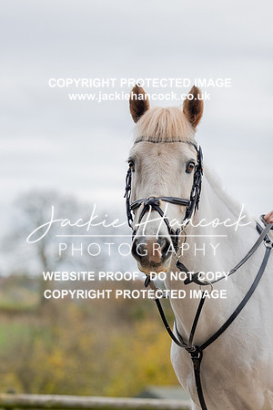 JHP_0655