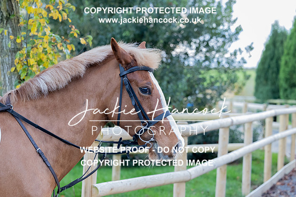 JHP_1038