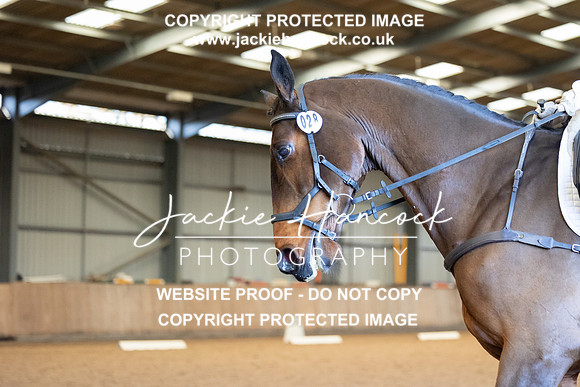 JHP_2385