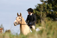 General Showground & Dressage Area