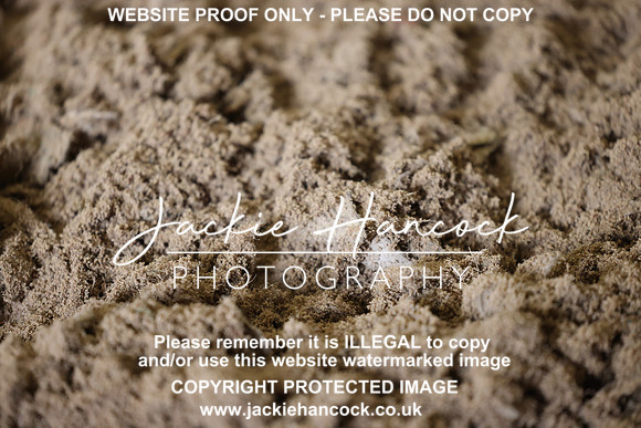 R5JH0259
