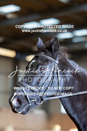 JHP_3528