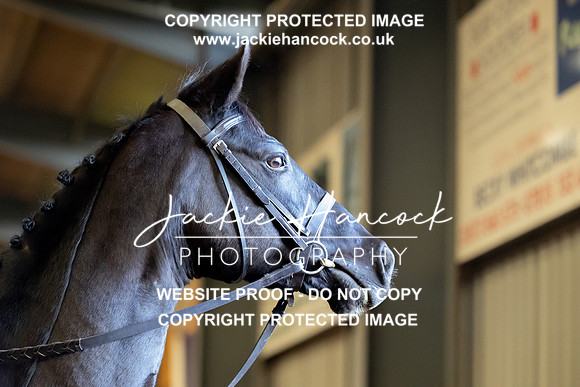 JHP_4613