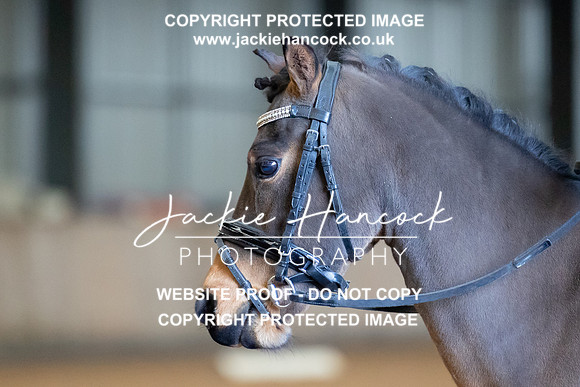 JHP_4649