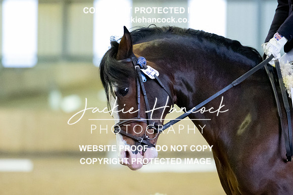 JHP_5461