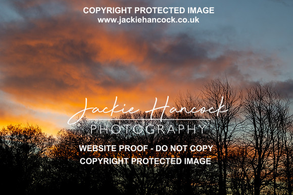 JHP_5670