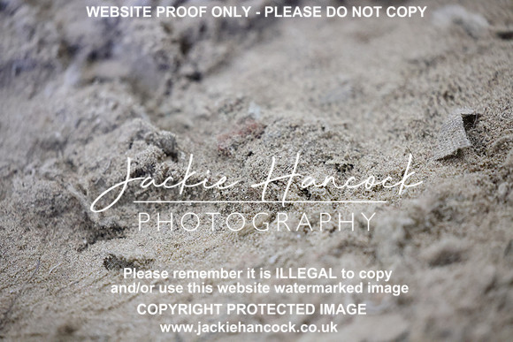 R5JH1334