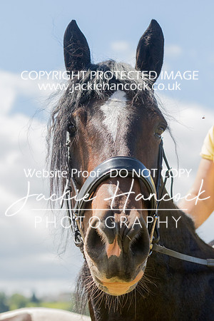 120512-010820-JHP