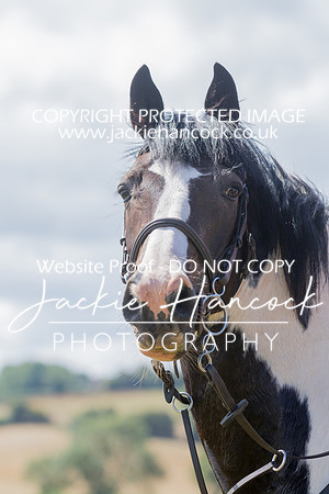 120524-010820-JHP-2