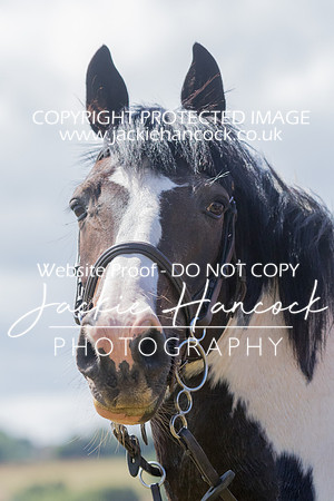 120524-010820-JHP-3