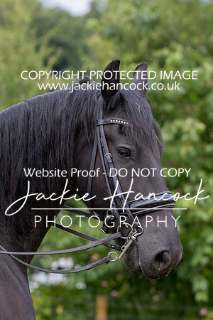 125617-010820-JHP