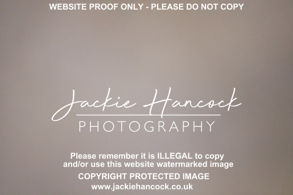 R5JH2881