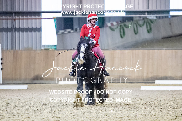 JHP_8129